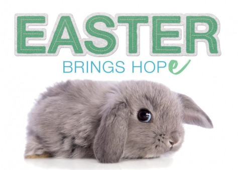 Easter_24_B