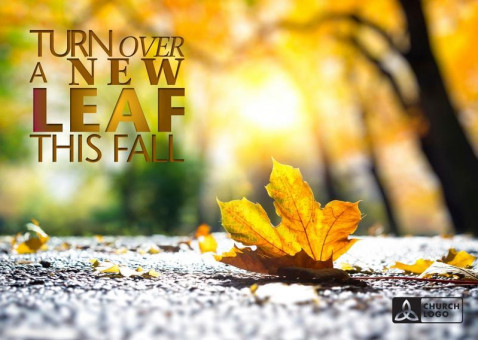 Fall_08_B