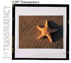 2 and a quarter transparency of a starfish on the beach