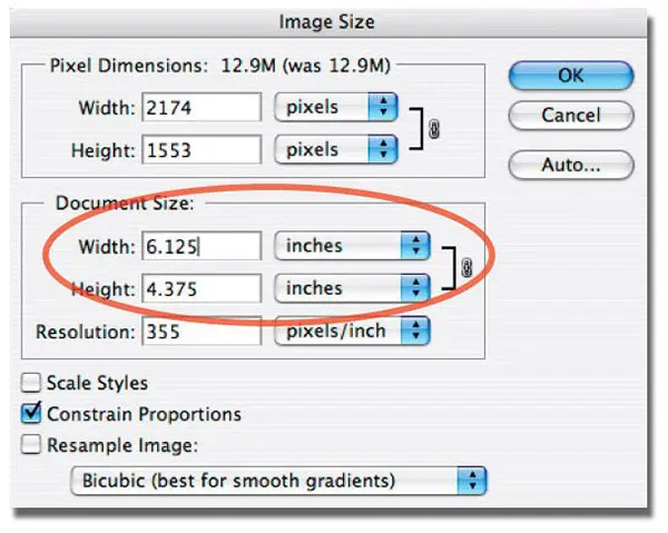 Setting the Correct Image Size with Adobe Photoshop, including bleed Setting the correct image size with Adobe Photoshop, including bleed