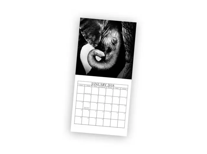 6x6 Calendar 6x6 calendar with a black and white image of a baby elephant