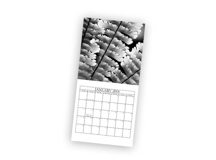 8x8 Calendar