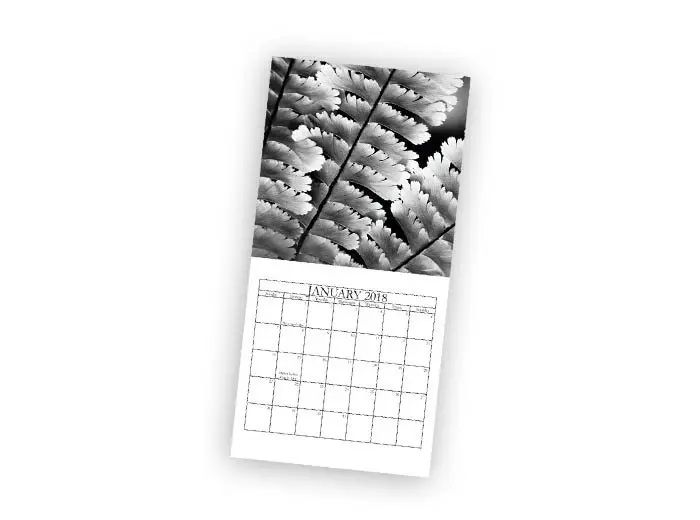 8x8 Calendar 8x8 calendar with an image of flowers in black and white