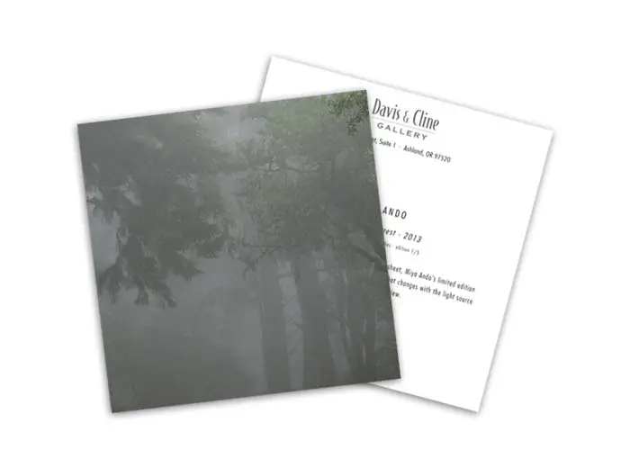 square postcard with misty tree photo