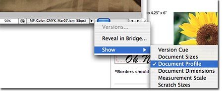 Photoshop Information Bar to view the color profile Photoshop Information Bar to view the color profile
