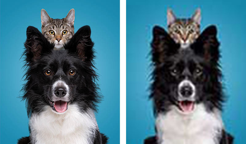 Example of Interpolation A side by side comparison of a crisp image and one with a lot of interpolation