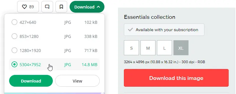 side by side of two stock photo sites options of selecting the largest file size available