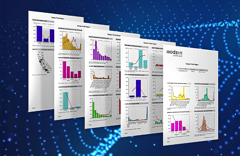 A sample customer profile report showing customer demographics