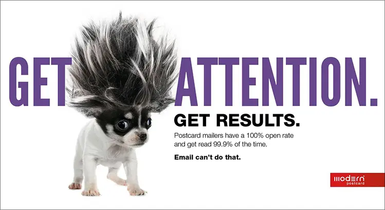 postcard showing how purple gets attention with a dog with spiked hair