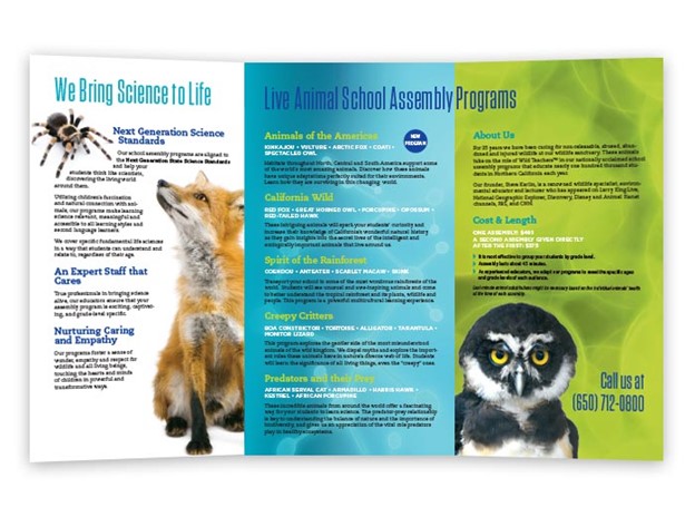 Business Flyer Example - Animal School Assembly