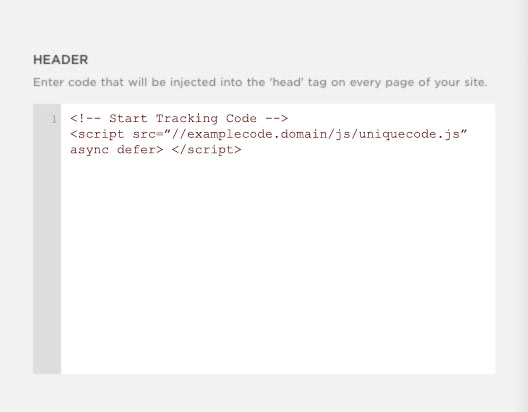 Squarespace Head Tag Code Instructions